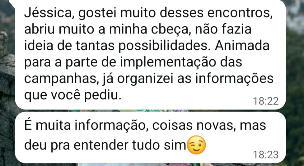 Relato sobre clareza dos encontros e implementação das campanhas